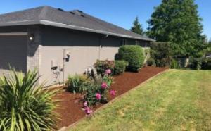 Lawn-Clean up - NW Evergreen Landscape LLC