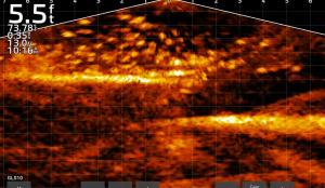 Sonar image shows a pickup-shaped object approximately 100 yards offshore in Deer Creek Reservoir.