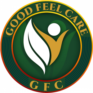 Goodfeelcare Sanitary Pad Anion Chip Technology