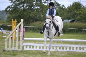 North Country Limo Transportation to the Hampton Classic Horse Show in Bridgehampton, NY