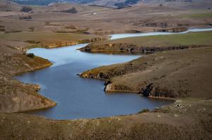 The winding waters of Estero Americano weave through rolling coastal grasslands, sustaining a rich mosaic of wetland, freshwater, and upland habitats at the preserve.