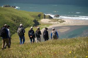 Visitors descend through wildflower-dotted coastal grasslands toward the estuary and Pacific Ocean at Estero Americano Coast Preserve, where sweeping views reveal the meeting of land, freshwater, and sea.