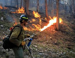Avenue Dental Care North Spokane Expresses Gratitude to the Brave Firefighters