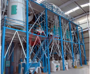 100TPD Maize Milling Line For Custom Plant Design