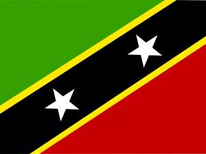 Saint Kitts and Nevis flag representing Nevis Trust services