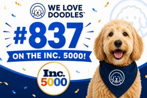 We Love Doodles Rank 837 On INC5000