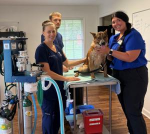 volunteers in clinic