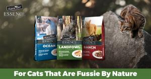 New Fussie Cat Essence High-Protein, Limited-Ingredient Dry Cat Food Bags, cat on rock