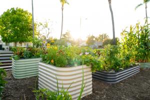 Image of Epic Metal Raised Garden Beds