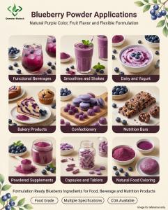 Demeterherb Blueberry Powder Food And Beverage Applications