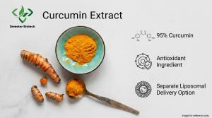 Demeter Biotech Curcumin Extract product efficacy infographic