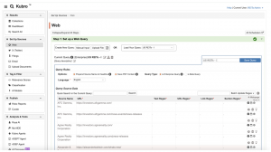Kubro Web Query Page View for API Access