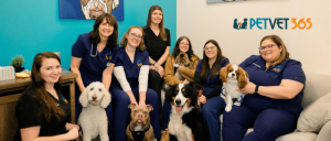 Veterinary team at PetVet 365 posing with various dog breeds in a clinic setting.