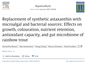 Aquaculture Volume 626, 1 January 2027, 744418