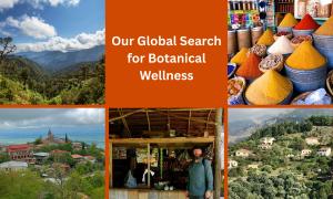Collage of Linden Botanicals’ global tea travels, highlighting the company’s search for high-quality medicinal herbs and the places where botanicals are grown and harvested.
