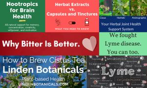 Linden Botanicals herbal education image highlighting the company’s extensive collection of educational resources about medicinal herbs, botanical wellness, and scientific research.