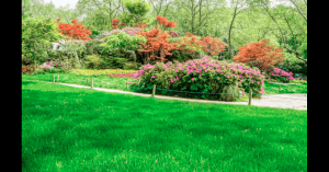 Coastal Serenity Landscapes  -