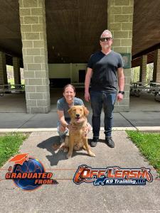 Dayton Dog Training