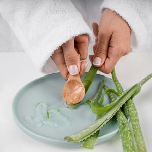 aloe immune recipe