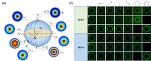 Figure 2. (a) Geometric framework of HyPS. (b) Intensity distributions corresponding to states A, E, and F generated on HyPS and HOPS