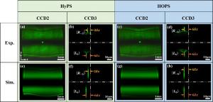 Figure 3. Intensity distributions of state A on the sphere after conformal transformation on HyPS and HOPS