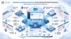Salesforce Backup Solutions Evolve Beyond Data Protection