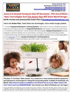 Download a FREE COPY of the Action Plan at MarketingConsultantsGroup.com