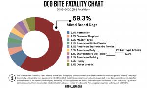 Dog Bite Fatality Chart