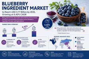 Blueberry Ingredient Market