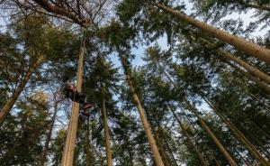 Vertical challenges to find treetop checkpoints
