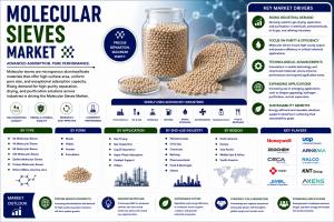 Molecular Sieves Market (2026 - 2035)