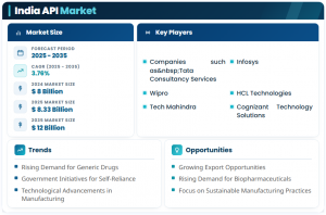 India API Market Size