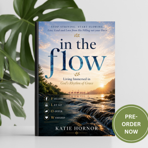In the Flow book pre-order