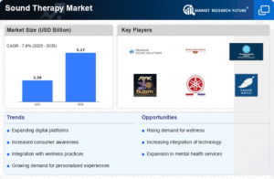 Sound Therapy Market Size