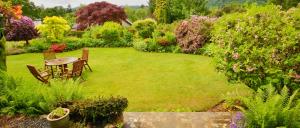 Lawn Care