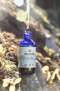 a photo of a bottle on a rock