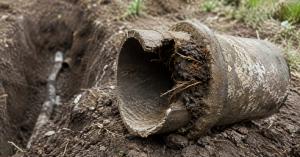 Cut section of an old cast iron sewer pipe on damp soil beside an open trench, with fine tree roots visible entering the pipe joint.