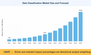 Data Classification Market Size
