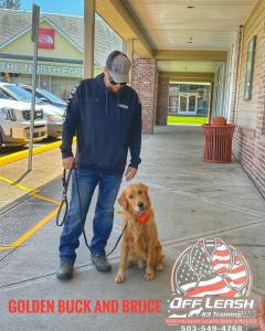 Best Dog Training Portland