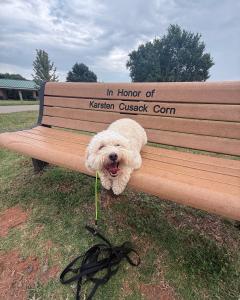 Oklahoma Best Dog Training