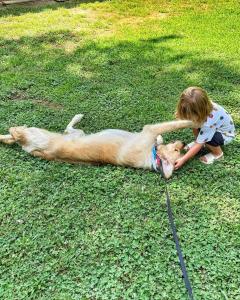 Best Dog Training Oklahoma