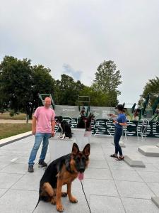 Detroit Best Dog Training