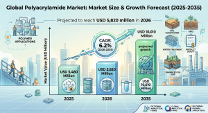Polyacrylamide Market (2026 - 2035)