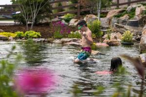 backyard recreational pond built by Hiner Outdoor Living in Colorado Springs