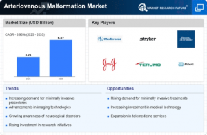 Arteriovenous Malformation Market,