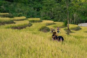 vietnam luxusreise