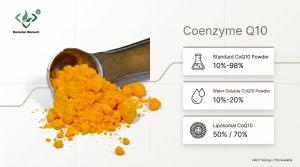 Demeter Biotech Coenzyme Q10 product efficacy infographic
