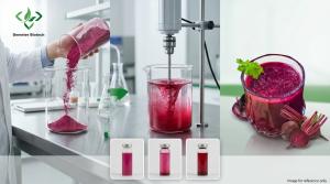 Demeterherb Beet Root Powder Beverage Dispersion And Mixing Process