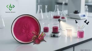 Demeterherb Natural Beet Root Powder Light Stability And Solubility Test