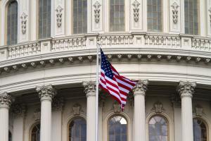The United States flag waving in front of the classical white columns and arched windows of the US Capitol building, symbolizing US federal law and immigration policies.